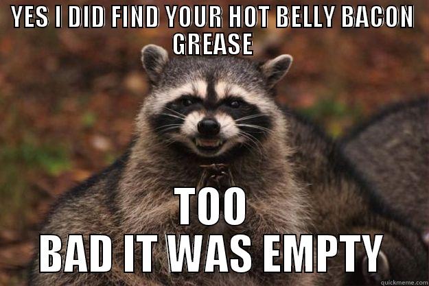 YES I DID FIND YOUR HOT BELLY BACON GREASE TOO BAD IT WAS EMPTY Evil Plotting Raccoon