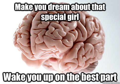 Make you dream about that special girl Wake you up on the best part   Scumbag Brain