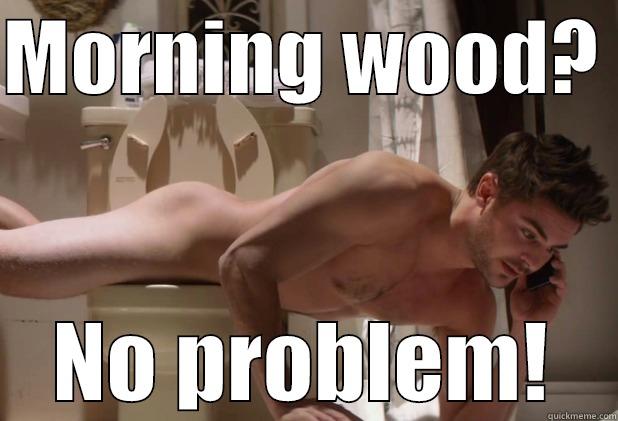 MORNING WOOD?  NO PROBLEM! Misc