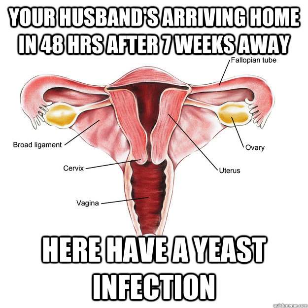 Your husband's arriving home in 48 hrs after 7 weeks away here have a yeast infection  Scumbag Uterus