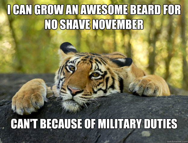 I can grow an awesome beard for No Shave november can't because of military duties  Confession Tiger