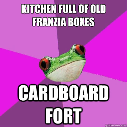 kitchen full of old franzia boxes cardboard fort  Foul Bachelorette Frog