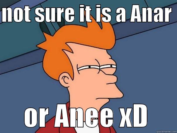 NOT SURE IT IS A ANAR  OR ANEE XD Futurama Fry