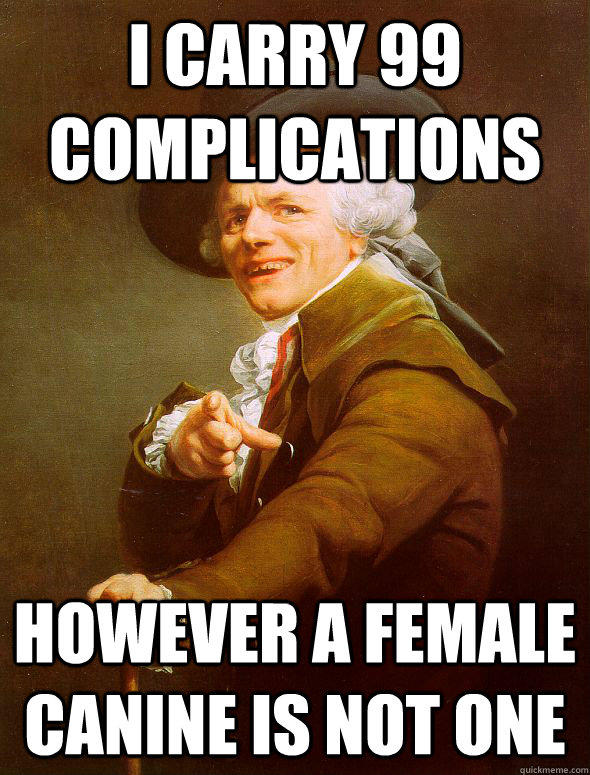 I carry 99 complications however a female canine is not one  