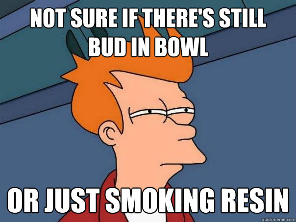 not sure if there's still   bud in bowl Or just smoking resin  Futurama Fry