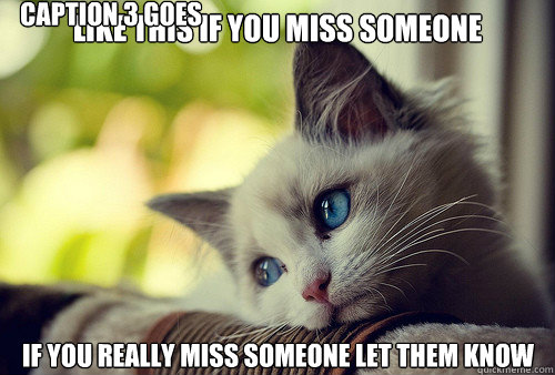 Like this if you miss someone If you really miss someone let them know Caption 3 goes here - Like this if you miss someone If you really miss someone let them know Caption 3 goes here  First World Cat Problems