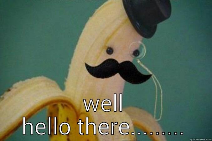 Mr bananarama animal -  WELL HELLO THERE......... Misc