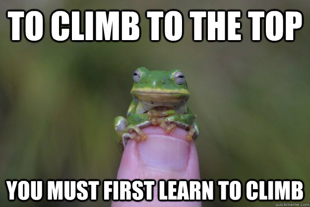 To climb to the top you must first learn to climb  Wisdom Frog