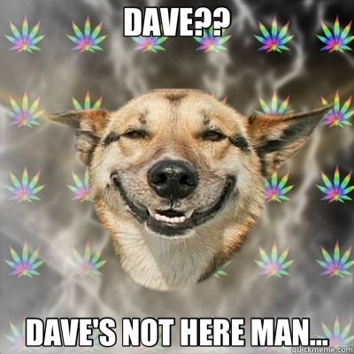 DAVE?? DAVE'S NOT HERE MAN...  Stoner Dog