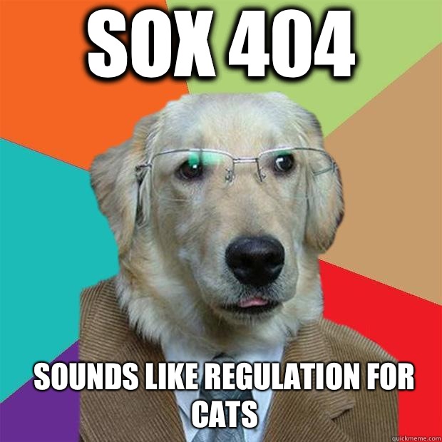 SOX 404 sounds like regulation for cats  Business Dog