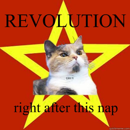 REVOLUTION right after this nap OBEY  Lenin Cat