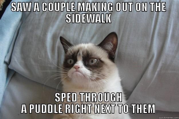 SAW A COUPLE MAKING OUT ON THE SIDEWALK SPED THROUGH A PUDDLE RIGHT NEXT TO THEM Grumpy Cat