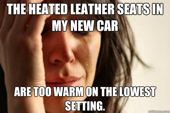 The heated leather seats in my new car are too warm on the lowest setting.  First World Problems