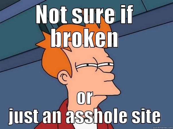 NOT SURE IF BROKEN OR JUST AN ASSHOLE SITE Futurama Fry