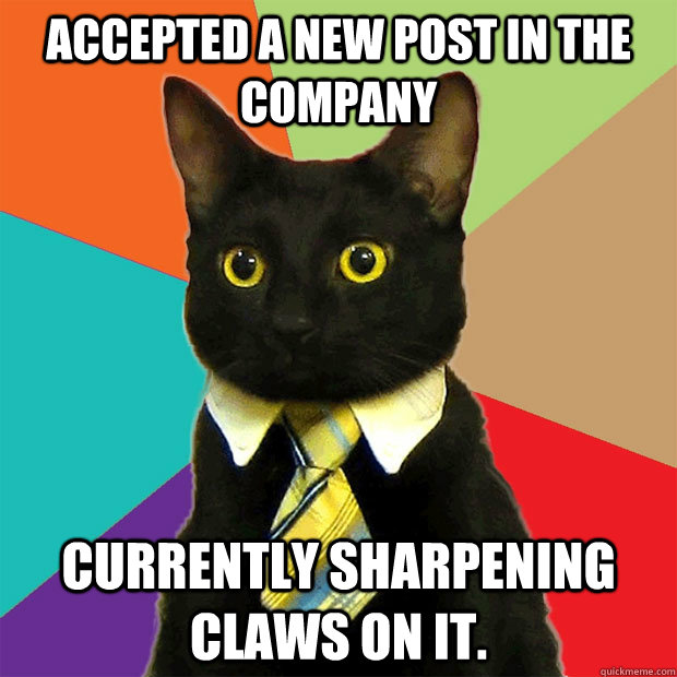 Accepted a New Post in the company currently sharpening claws on it.  Business Cat