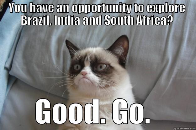 YOU HAVE AN OPPORTUNITY TO EXPLORE BRAZIL, INDIA AND SOUTH AFRICA? GOOD. GO.  Grumpy Cat