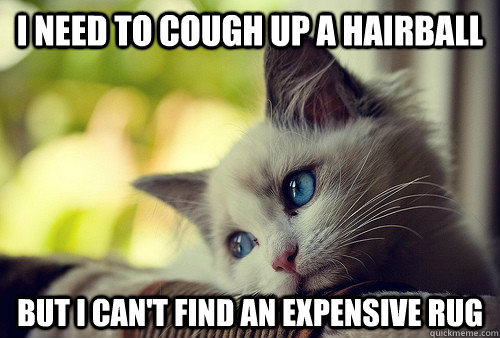 I need to cough up a hairball but i can't find an expensive rug  First World Problems Cat