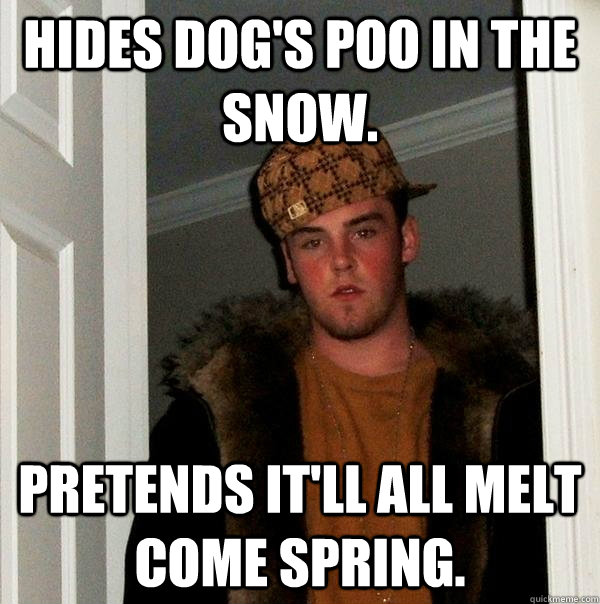 Hides dog's poo in the snow. Pretends it'll all melt come spring.   Scumbag Steve