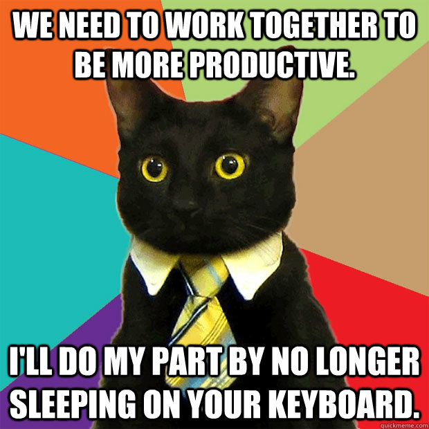 We need to work together to be more productive. i'll do my part by no longer sleeping on your keyboard.  Business Cat