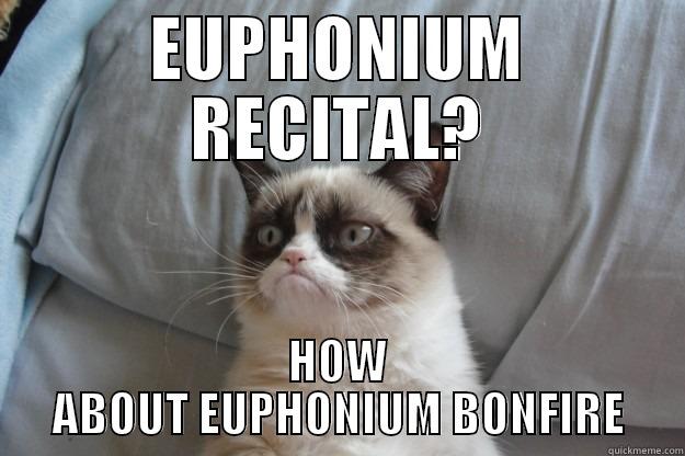 EUPHONIUM RECITAL? HOW ABOUT EUPHONIUM BONFIRE Grumpy Cat