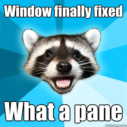 Window finally fixed What a pane  Lame Pun Coon