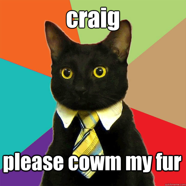 craig please cowm my fur   Business Cat