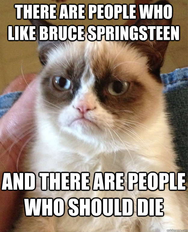 There are people who like bruce springsteen and there are people who should die  Grumpy Cat