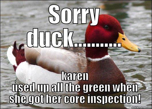 SORRY DUCK........... KAREN USED UP ALL THE GREEN WHEN SHE GOT HER CORE INSPECTION! Malicious Advice Mallard