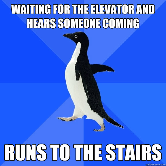 Waiting for the elevator and hears someone coming runs to the stairs - Waiting for the elevator and hears someone coming runs to the stairs  Socially Awkward Penguin