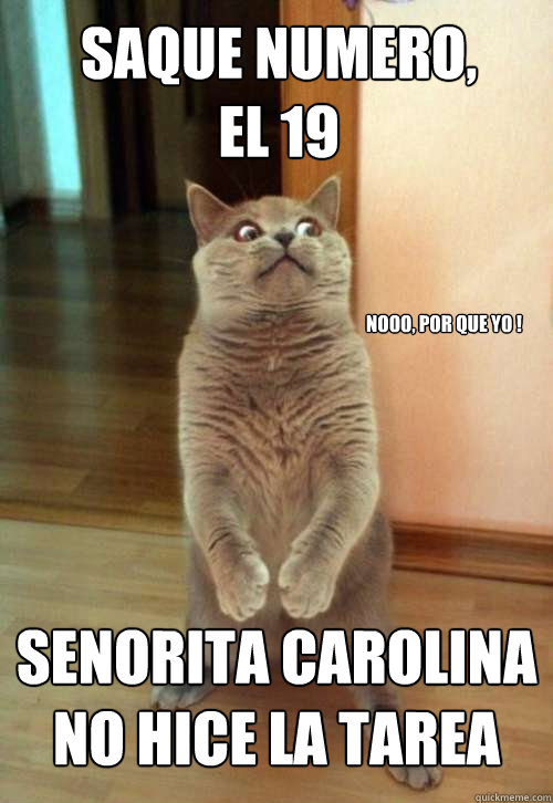 saque numero,
el 19 senorita carolina no hice la tarea  nooo, por que yo ! - saque numero,
el 19 senorita carolina no hice la tarea  nooo, por que yo !  Horrorcat