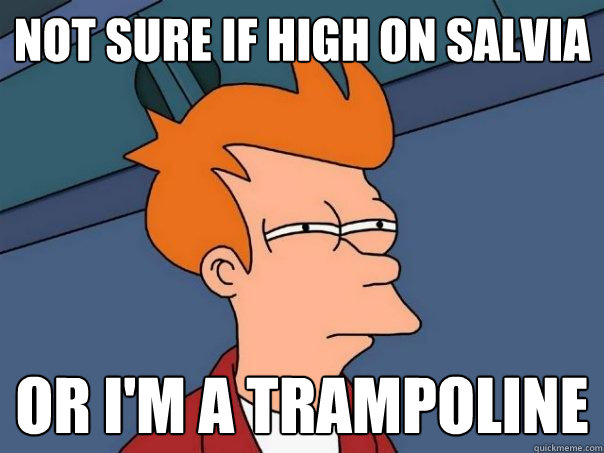 Not sure if high on salvia or i'm a trampoline  Futurama Fry