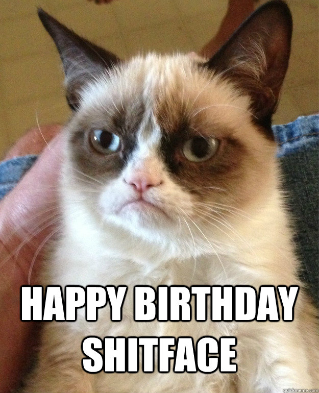  Happy Birthday Shitface  Grumpy Cat