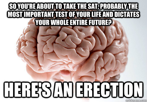 So you're about to take the SAT, probably the most important test of your life and dictates your whole entire future? Here's an erection  Scumbag Brain