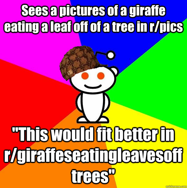 Sees a pictures of a giraffe eating a leaf off of a tree in r/pics 