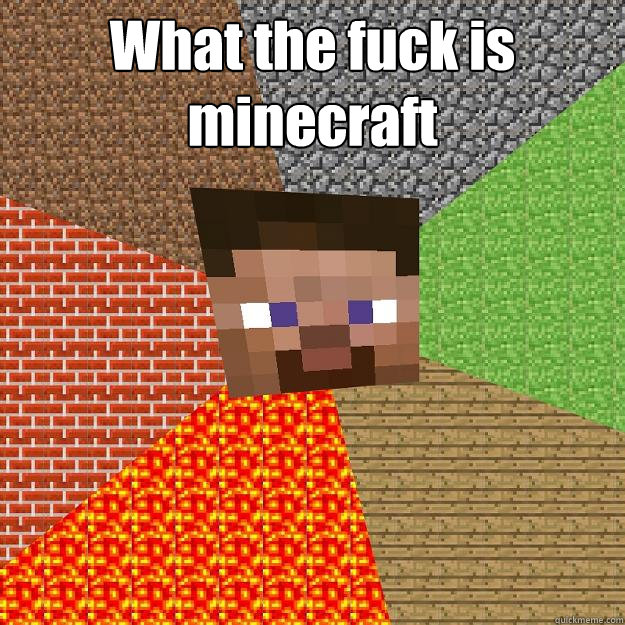 What the fuck is minecraft   Minecraft