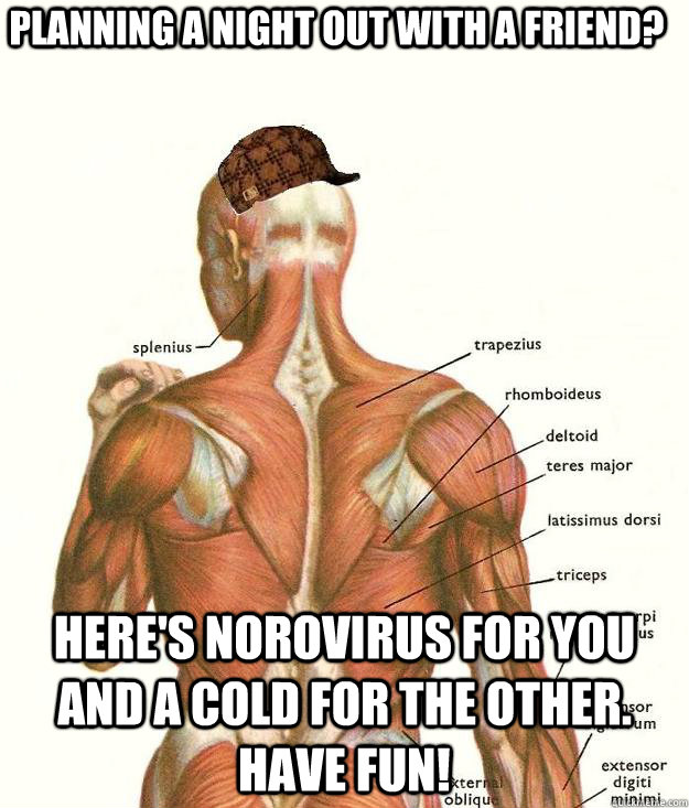 pLANNING A NIGHT OUT WITH A FRIEND? HERE'S NOROVIRUS FOR YOU AND A COLD FOR THE OTHER. HAVE FUN!  Scumbag body