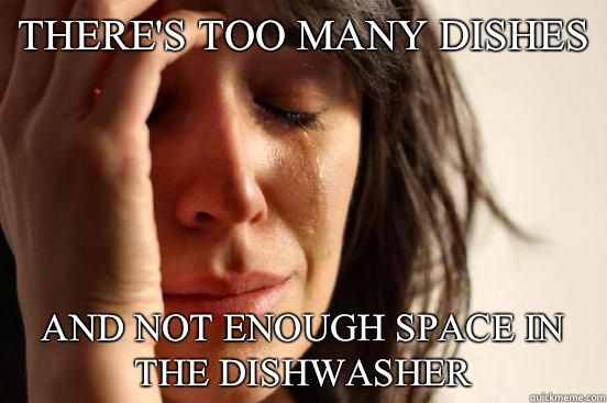 There's too many dishes And not enough space in the dishwasher  First World Problems