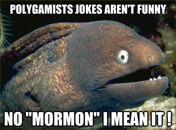 Polygamists jokes aren't funny No 