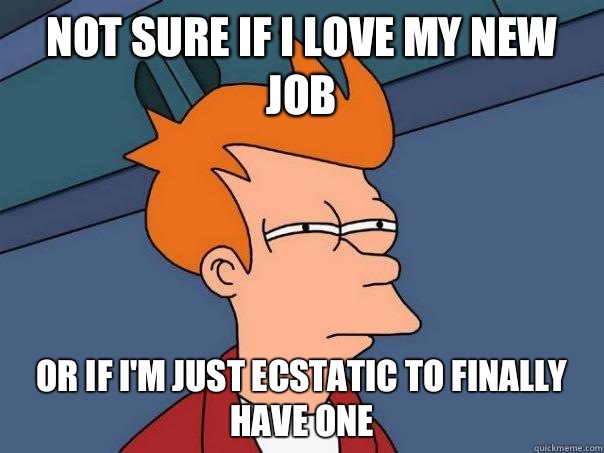 Not sure if I love my new job or if I'm just ecstatic to finally have one  Futurama Fry