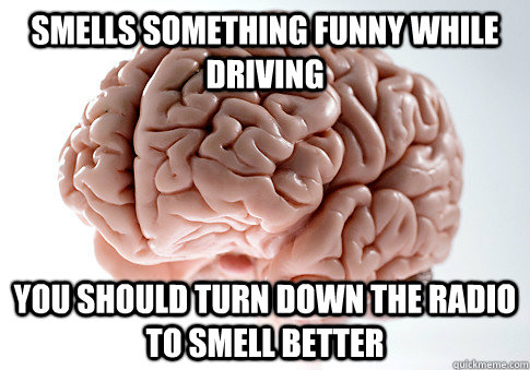 Smells something funny while driving You should turn down the radio to smell better  Scumbag Brain