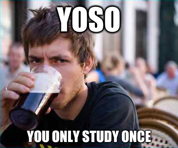 YOSO You Only Study Once   Lazy College Senior