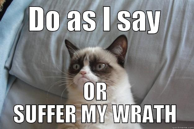 DO AS I SAY OR SUFFER MY WRATH Grumpy Cat