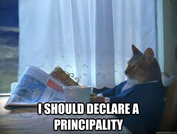  I should declare a principality  morning realization newspaper cat meme