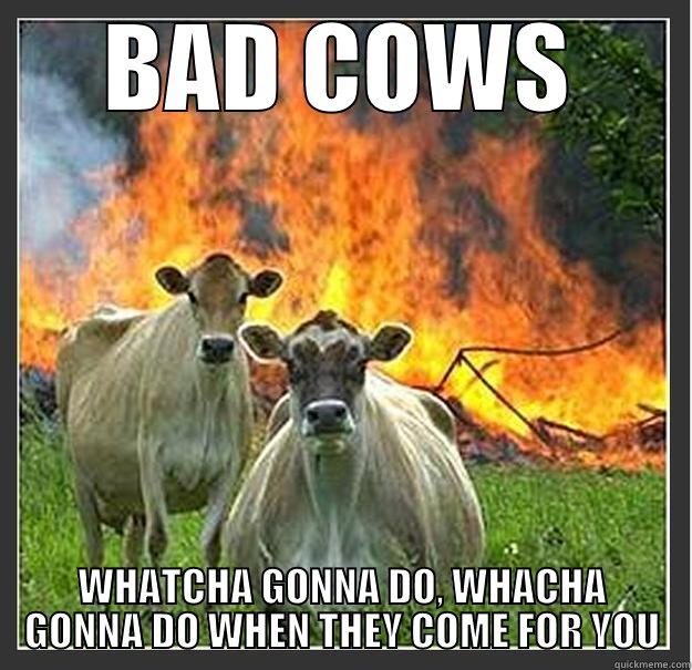 Oh, evil cows - BAD COWS WHATCHA GONNA DO, WHACHA GONNA DO WHEN THEY COME FOR YOU Evil cows