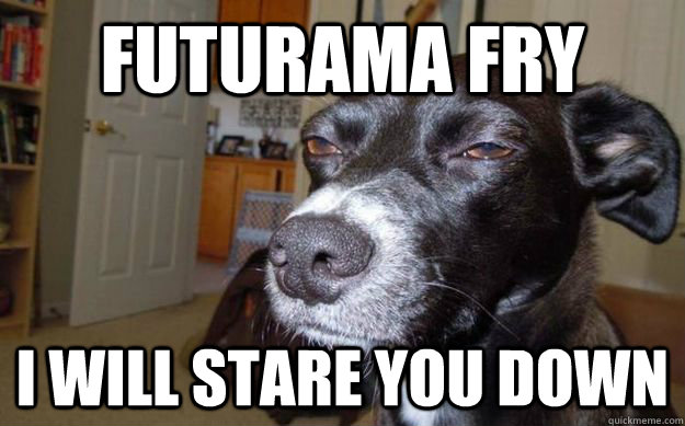 futurama fry i will stare you down  Skeptical Mutt