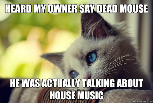 Heard my owner say Dead mouse he was actually talking about house music  First World Problems Cat