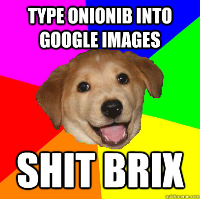 TYPE ONIONIB INTO GOOGLE IMAGES shit brix  Advice Dog