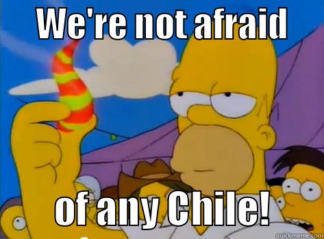      WE'RE NOT AFRAID              OF ANY CHILE!       Misc