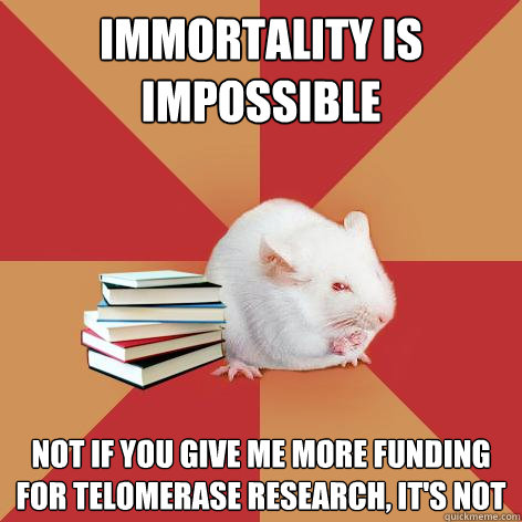 immortality is impossible not if you give me more funding for telomerase research, it's not - immortality is impossible not if you give me more funding for telomerase research, it's not  Science Major Mouse