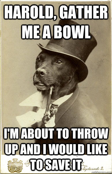 Harold, gather me a bowl I'm about to throw up and I would like to save it  Old Money Dog